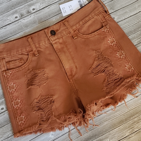 Hollister Pants - 4 for $25 Hollister burnt brown distressed shorts